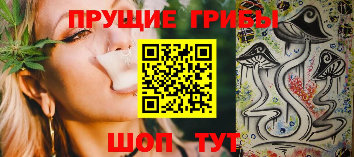 Солнечногорск  Галлюциногенные грибы MAGIC MUSHROOMS  Вход с VPN 